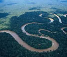 Fleuve Amazone